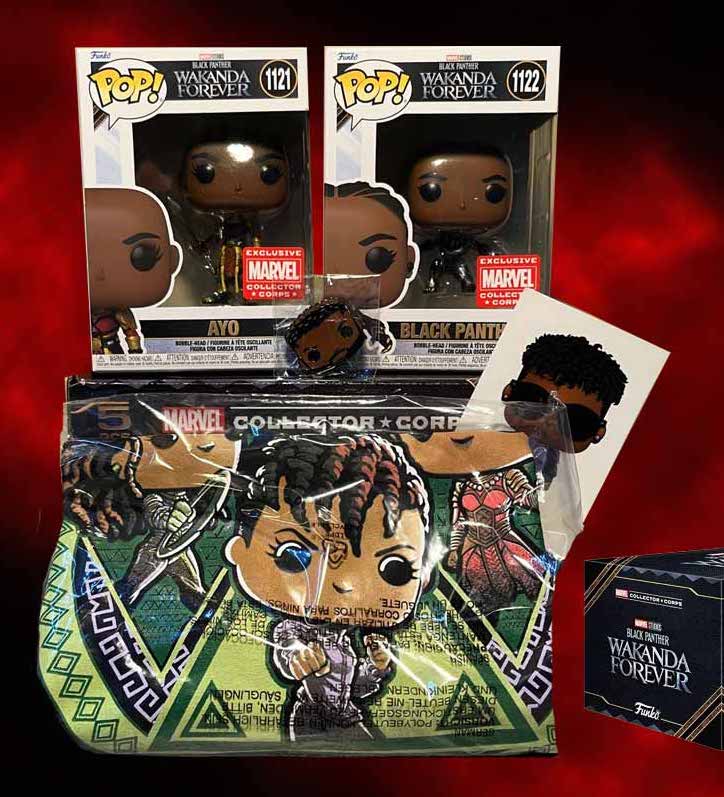 Funko Box! Marvel - Black Panther - Wakanda Forever - Box 5 Pcs