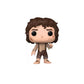 Funko Pop! The Lord Of The Rings - Frodo with ring 1389 Summer Convention 2023 (Limited Edition)