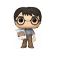 Funko Pop! Harry Potter 174 (Special Edition)
