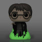 Funko Pop! Harry Potter - Harry Potter Glow In The Dark 153 ( Funko Exclusive)